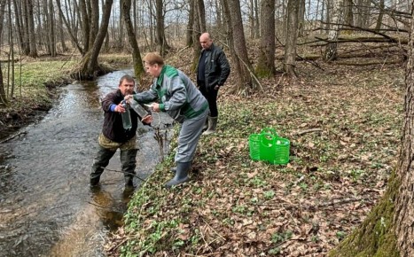 � ��������� ������� ����� ����� ���� �� ���� ��������