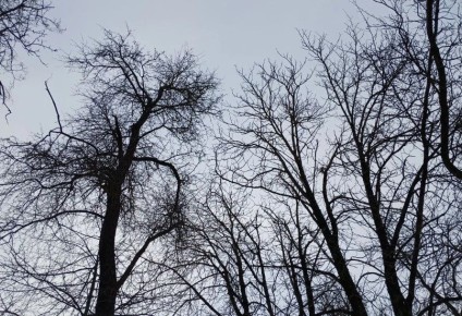 �������� ��� ������� �������� ����� ������ ������������� ��� ��������� ��������