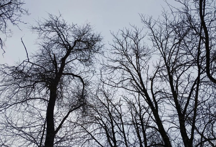 Системам ПВО удалось отразить атаку девяти беспилотников над Калужской областью