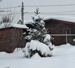 ��� ��������� �� �������� � �����: ������ ��� ��������