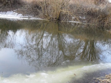 Угра в Калужской области упала на 41 сантиметр за сутки