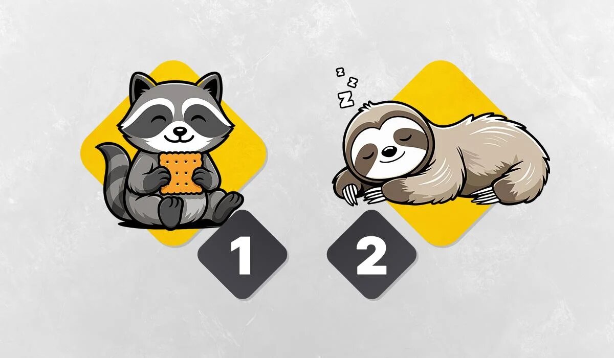 Как определить свой хронотип: тест на личность, который раскроет ваши биоритмы