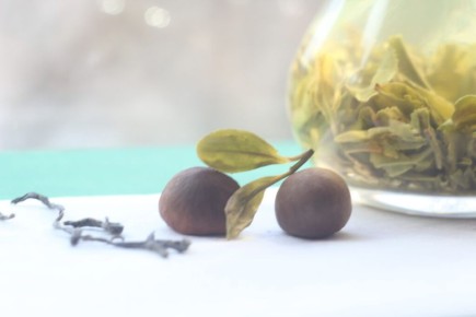 ������ ������: ����� ������ �� ����������� � ���������� ��������