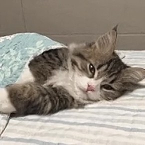 77% россиян испытывают проблемы со сном