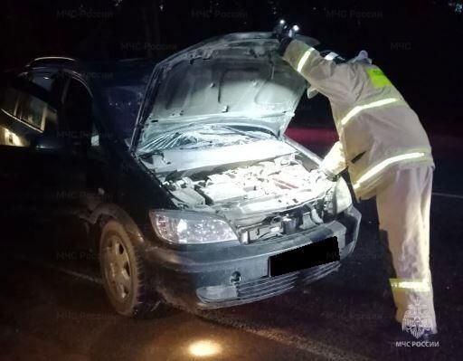 В Дзержинском районе автомобиль наехал на лося
