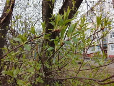 В Калужской области соберутся тучи и пройдут дожди