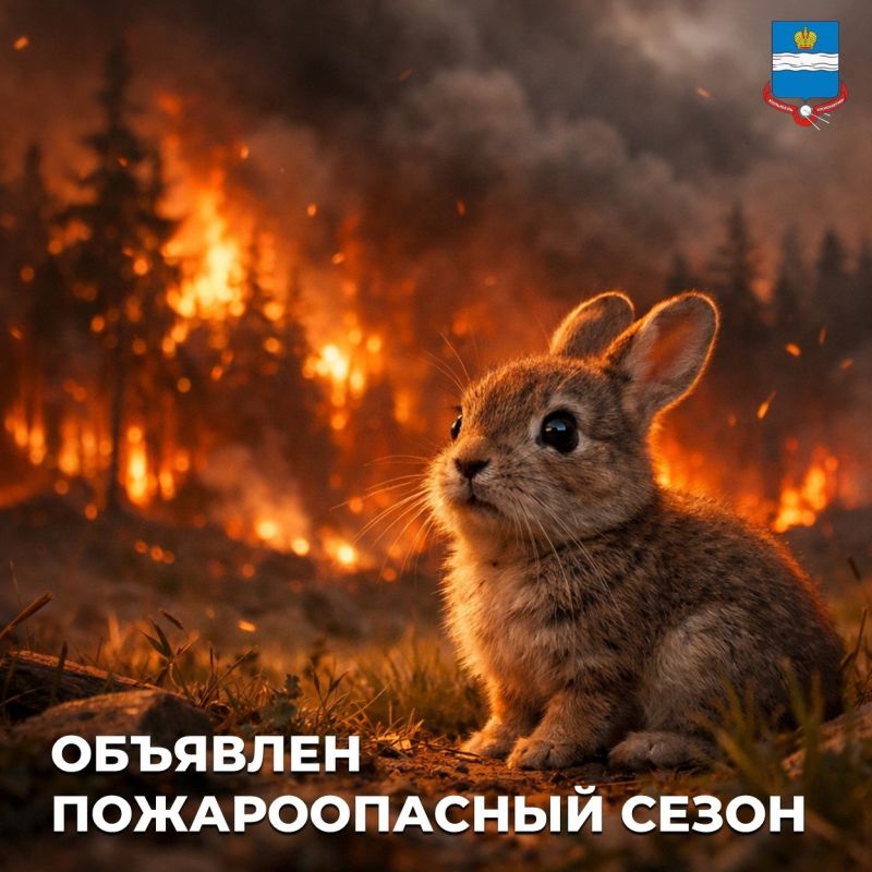 � ��������� ������� �������� ������������� �����