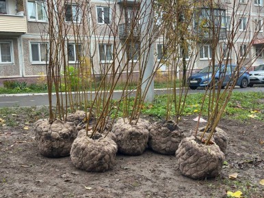 � ������ �������� ������ ����, ��� ������� ����� �������