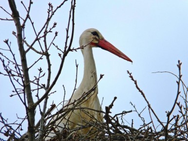 ����� ��������� � ��������� �������