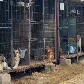 ���������� ���� �� �����! 600 ������