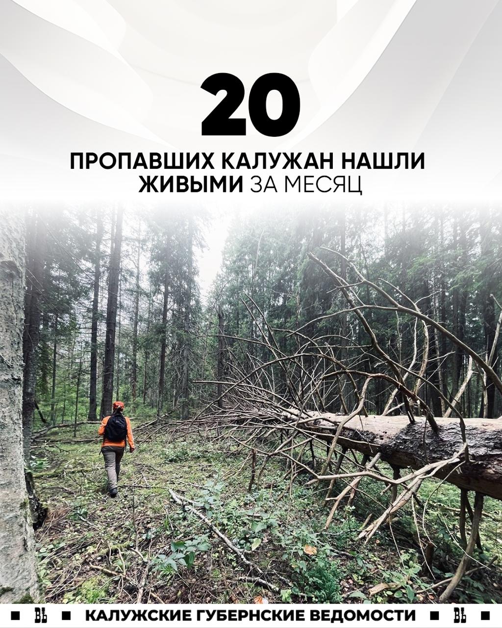 20 пропавших людей нашли живыми за месяц в Калужской области