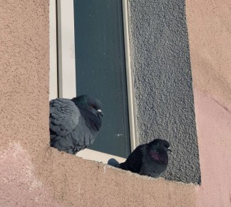 ������� � ������ ������������ ��������� ������, ��������� �����. ����������� ������� ���� ����� +6�C, � ����� +2�C