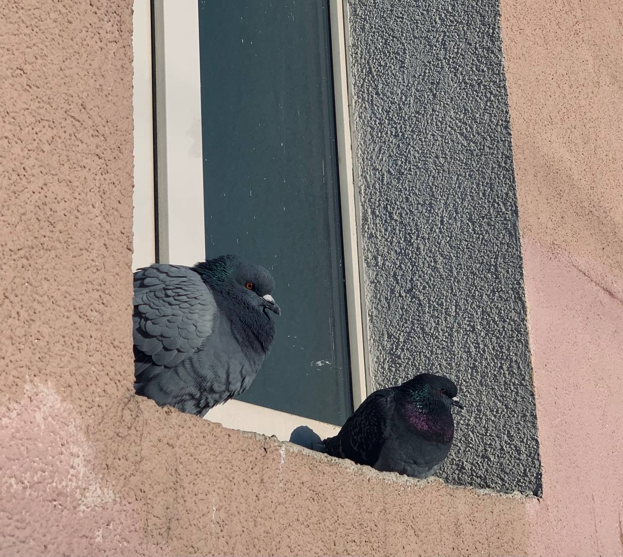 Сегодня в Калуге прогнозируют пасмурную погоду, небольшой дождь. Температура воздуха днем будет +6°C, а ночью +2°C