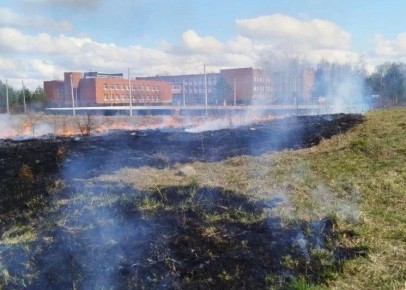 � ���������� �������� ������ ����� �� ����