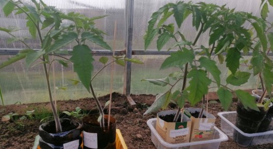 ��� �������� ������� ������ ���������: ������� ���������� �����