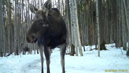 ���� ������ �� ����� � ��������� ����