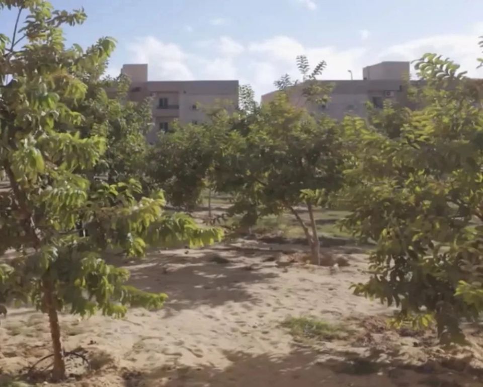 ������� ������� �� �������� ����� ���������� � ����������� ���������� � ������