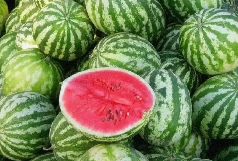 Арбузный рай: как эта ягода нашей мечты может стать настоящим курортом здоровья