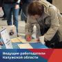 Всероссийская ярмарка трудоустройства «Работа России. Время возможностей» пройдёт 17 апреля