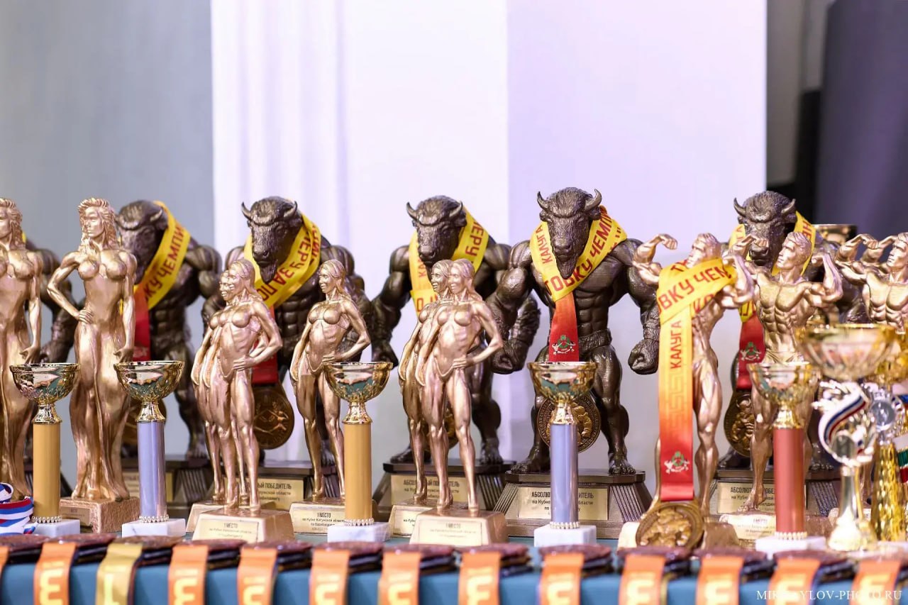 «Зубры» показали силу: международный турнир по бодибилдингу в Калуге собрал более 60 сильнейших атлетов «Зубры» показали силу: международный турнир по бодибилдингу в Калуге собрал более 60 сильнейших атлетов