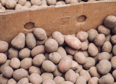 ��� ��������� ������ �� �����: ������ ���������