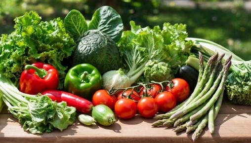 Как правильно управлять энергией организма и избегать переедания