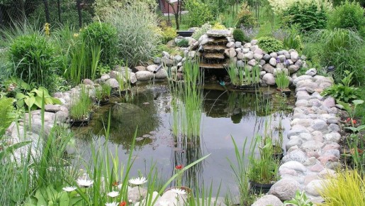 ��� ����������� ����� �� �������: ������ �� ���������