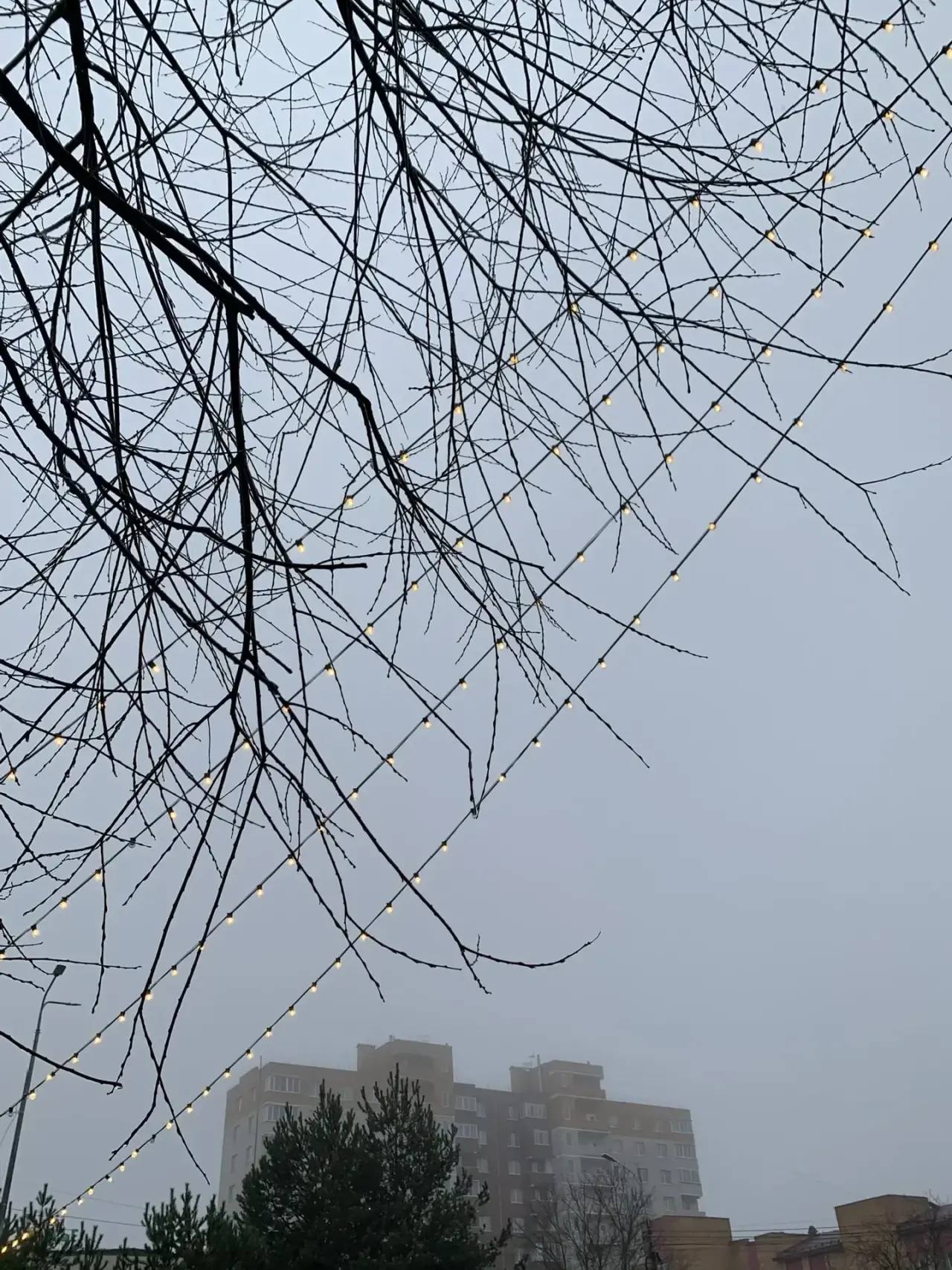 Сегодня в Калуге прогнозируют пасмурную и дождливую погоду. Температура воздуха днем будет +5°C, а ночью +2°C