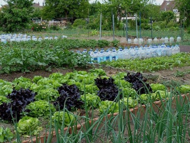 ��� ��������� ������������ ����������� ��� �������: ������ �� ���������