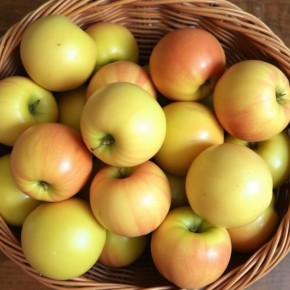 Секреты хранения яблок: как сохранить урожай до весны