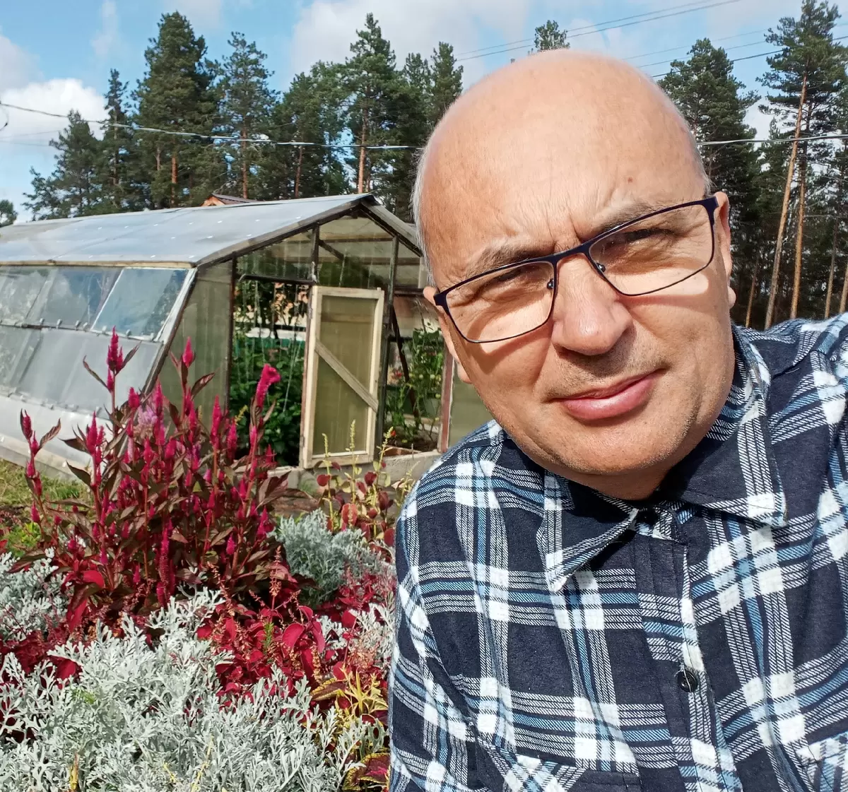 Парадокс риса: как Индия обогнала Китай в его производстве