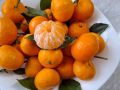 Как сохранить мандарины свежими и вкусными до Нового года
