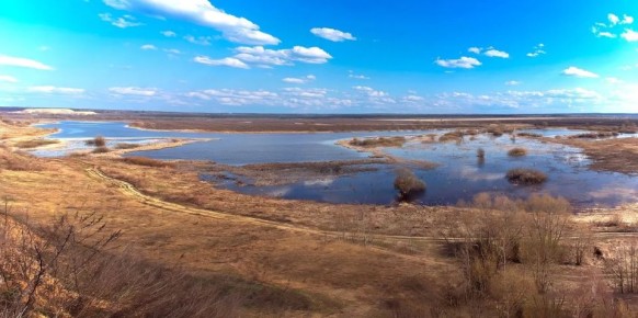 ����� ������������. �� ���� ������ ������� ����������� ������ ���� ���������� ���������� �����, �� ������� � ����� ������� ����������� �����