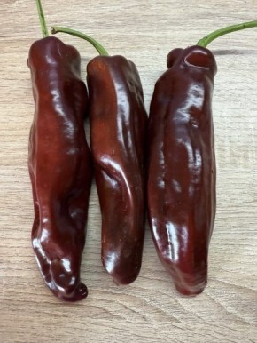 ���������� ����� ������: ���������� ��������� ���������