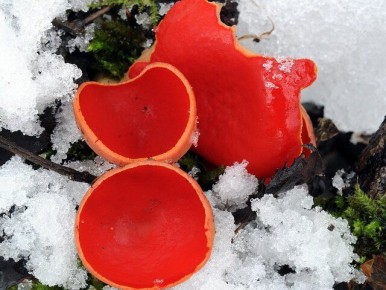 ������ ����� � �����������: ����� ����� � �����