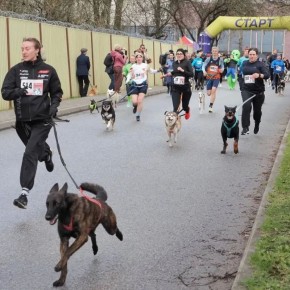 Калужская область — в четверке лидеров спортивного рейтинга России