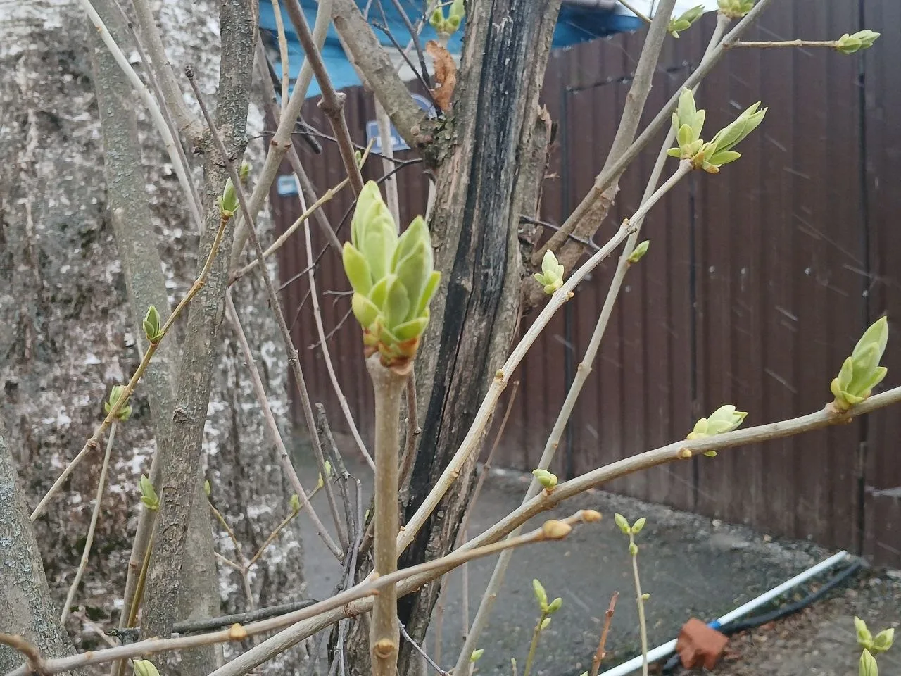 В Калужской области во вторник ожидаются дожди