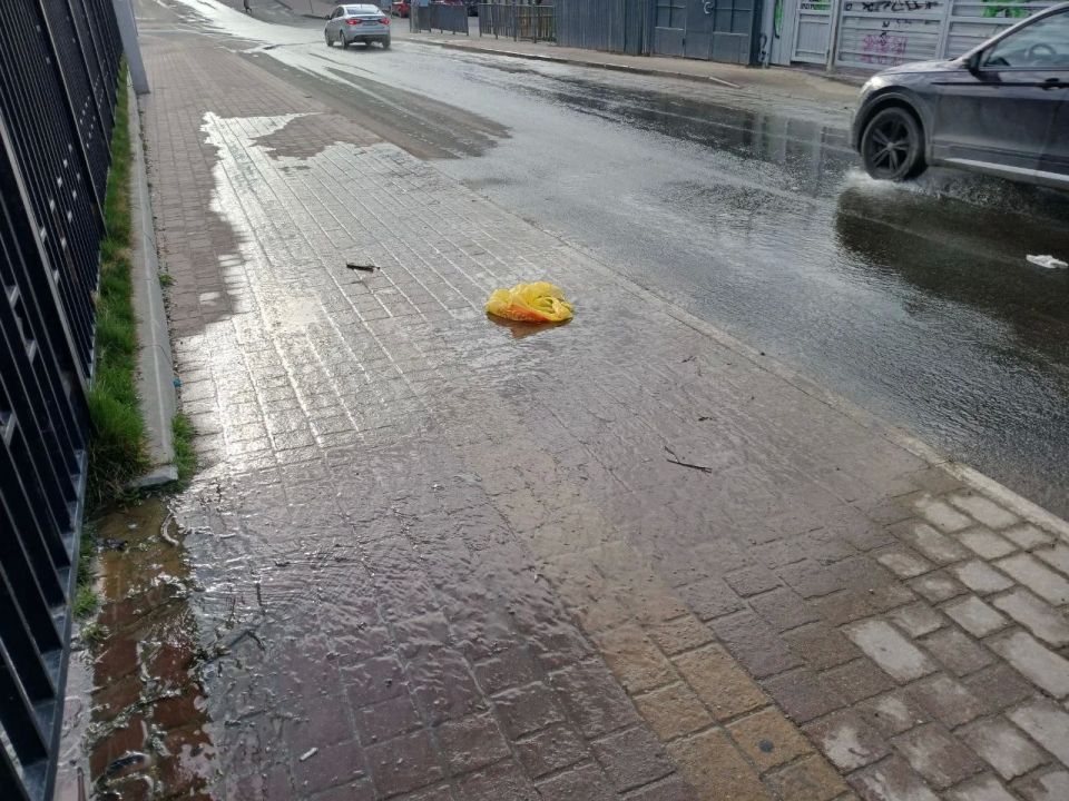 � ������ ���� ������� �� ����� ������������