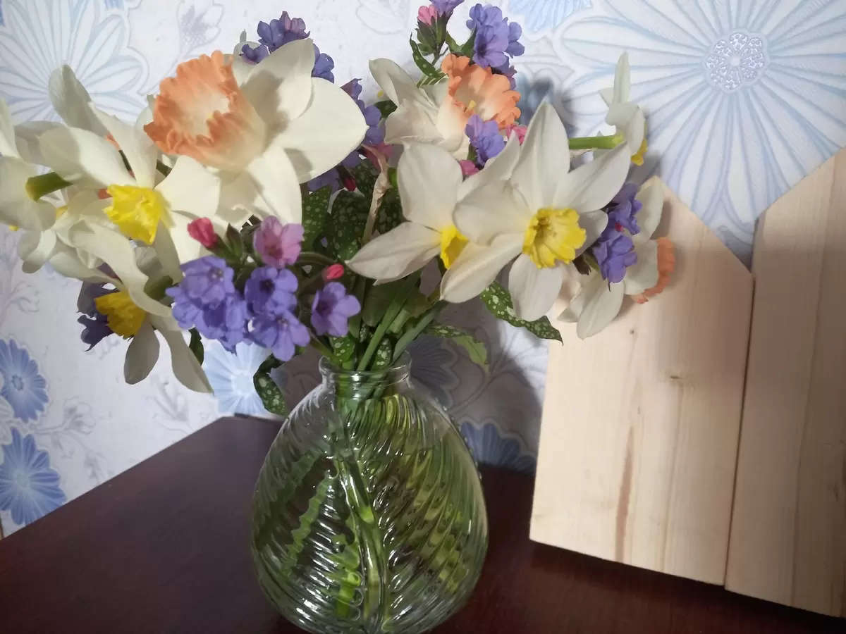 Как сэкономить на шторах: креативные идеи для бюджетного интерьера