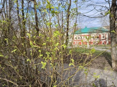 В Калужской области потеплеет