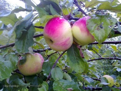 ������ ��������� ������: ��������� ��������� ����� � ������������ ��� ������ ����