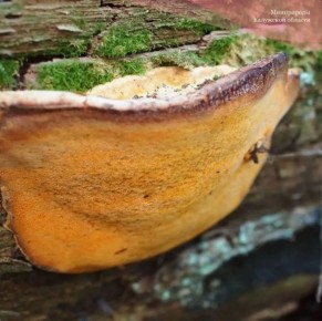 ������������ ���� ��������� ����������������