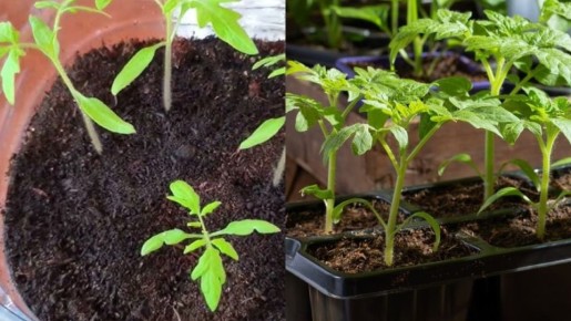 ��� ��������� ������� ������� ������� ����� �� 45 ����