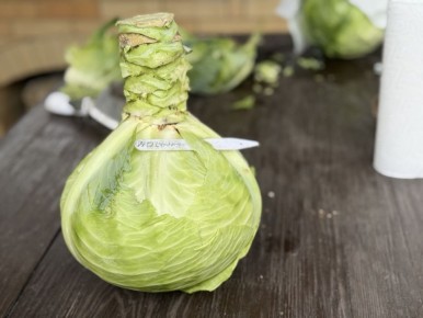 ��������� ������� �������� �������: ���������� ����� � ������