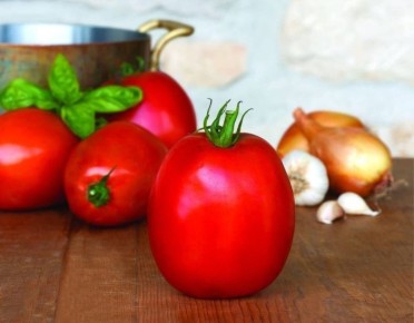 ����� ����� �����: ������ � ��������� ���� ��� ������� ���������