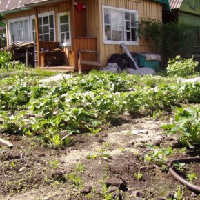 �����������: ������� ��� �����������? �������� ������, � ������� ����� �����