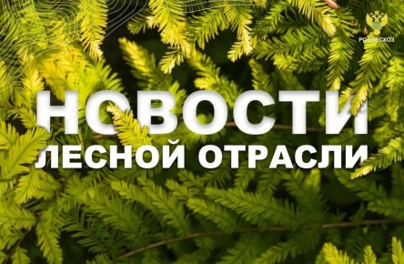 ��� ������: ��� �������� ������������ �� ������������ �������