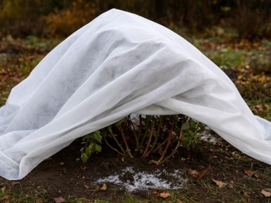 ������ ������ ���� ������� ����� �������� � ���������