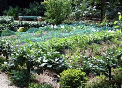 ��� �������� ���� ��� �� ������: �������� ��������-��������� ����������