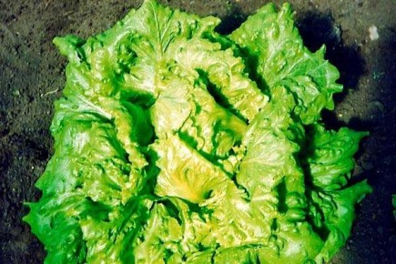 ���������� ������: ��������� ����� ��� ������ ���� � 2025 ����